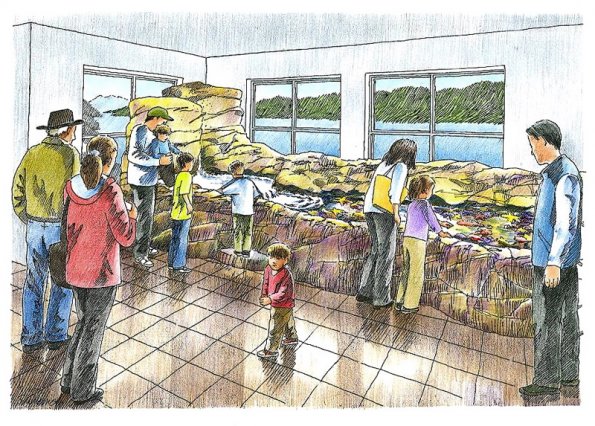 Touch tank